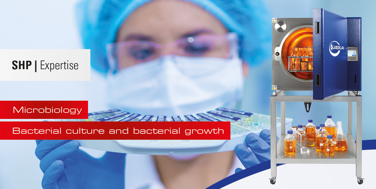 Bacterial culture and bacterial growth